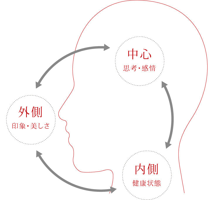 外側の印象・美しさ、内側の健康状態、中心の思考・感情を、矢印で結んだエレガントエイジングの基本の図